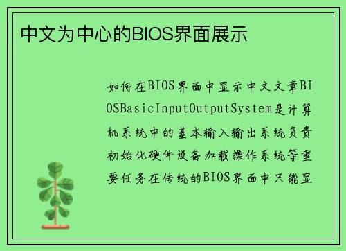 中文为中心的BIOS界面展示