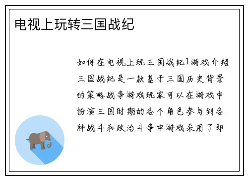 电视上玩转三国战纪